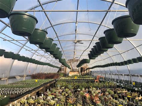 gertens greenhouse|gerten greenhouses h&gs.